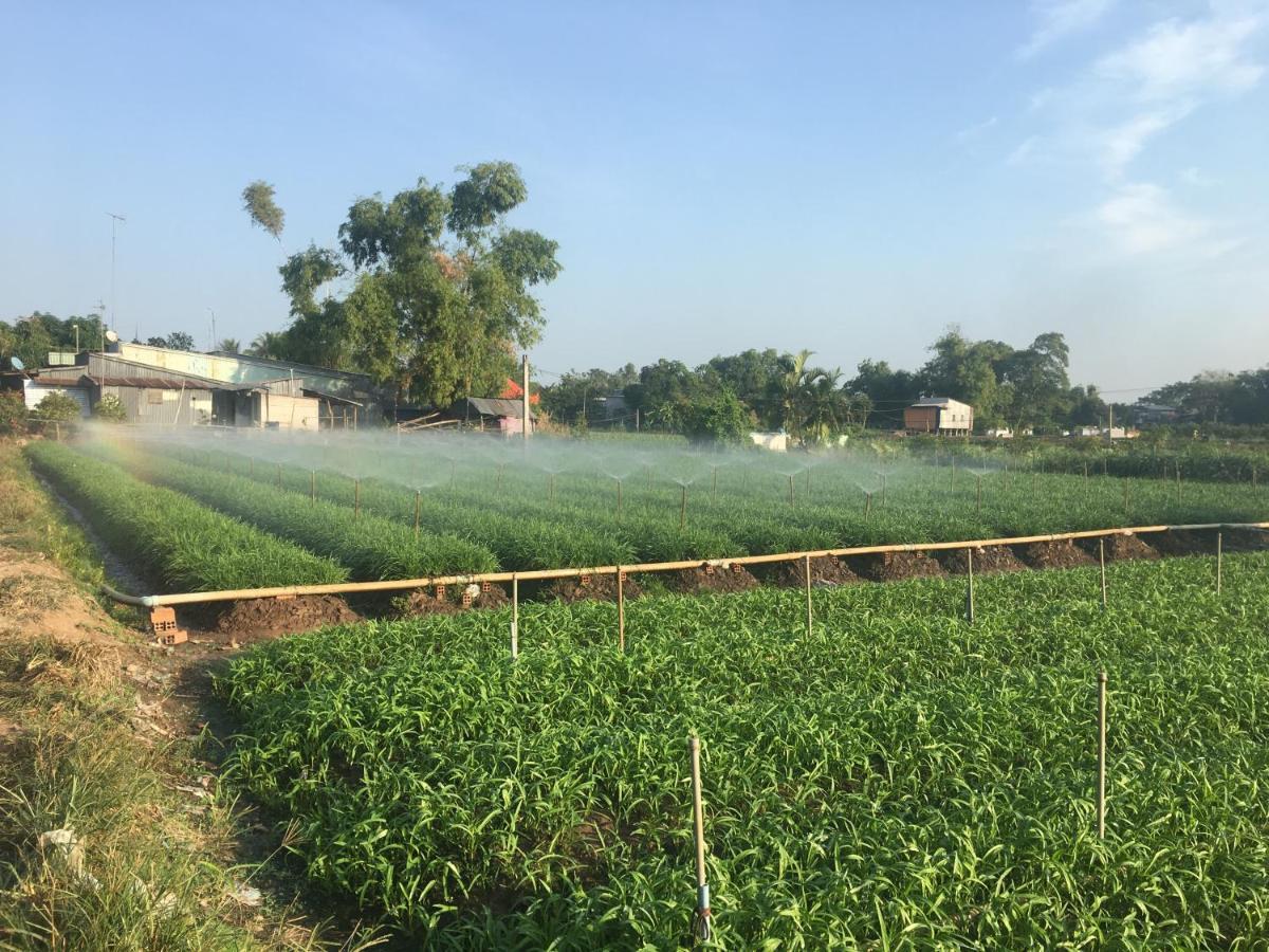 Chau Doc Homestay Eksteriør billede
