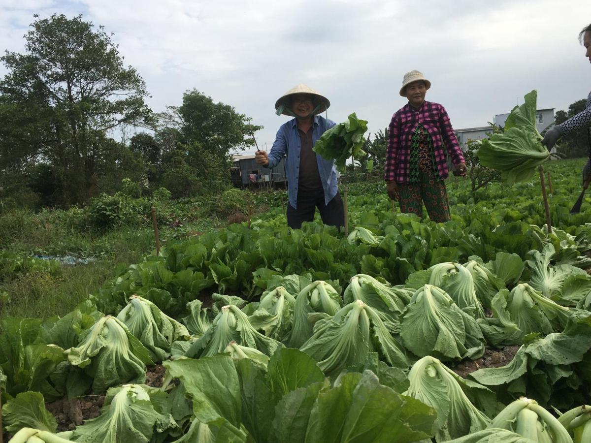 Chau Doc Homestay Eksteriør billede